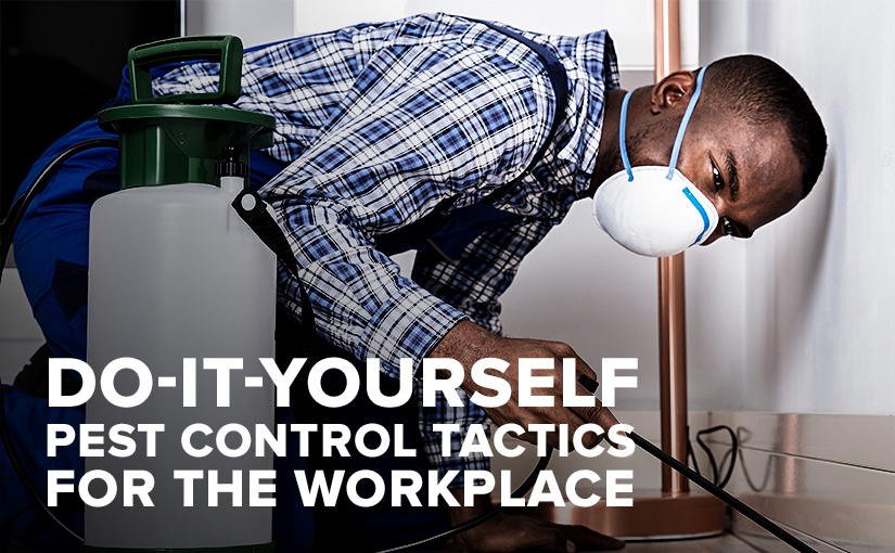 Do-It-Yourself Pest Control Tactics for the Workplace